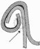 Seaming profile, can seam profile, can seam roller profile, seaming hook, can seam hook